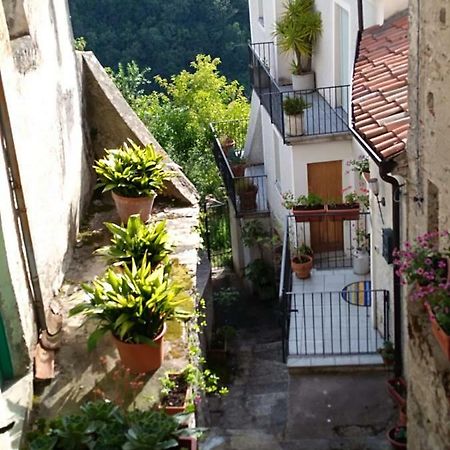 Rivello B&B Lo Straniero מראה חיצוני תמונה