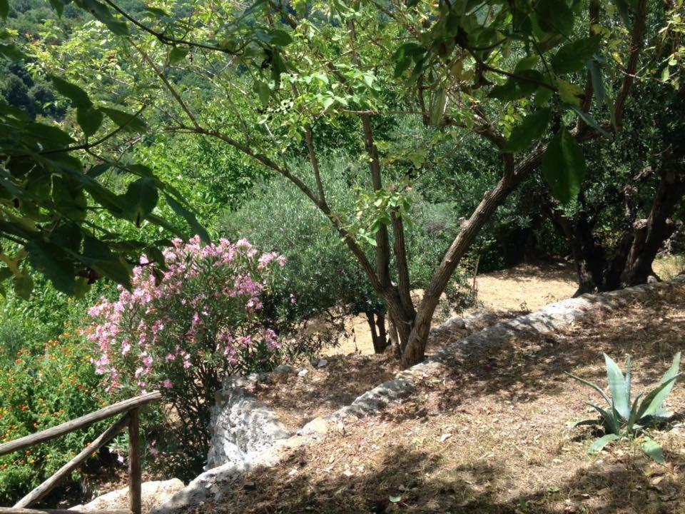 Rivello B&B Lo Straniero מראה חיצוני תמונה